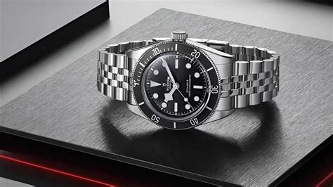 tudor black bay investment
